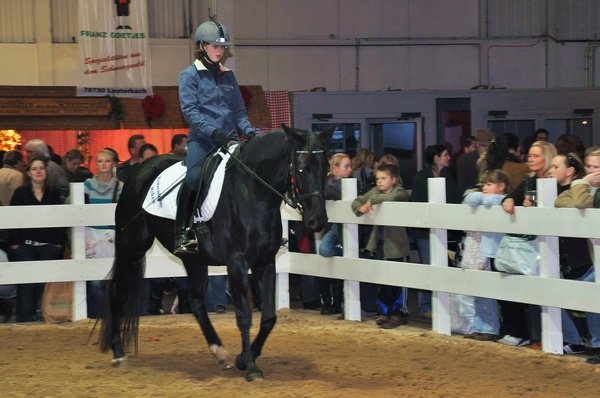 Pferd u Jagd   084.jpg